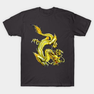 Descending Dragon 02 T-Shirt